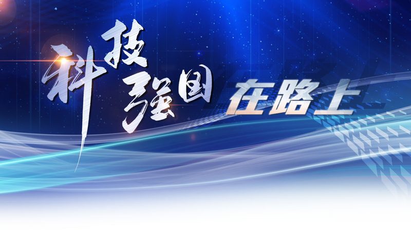 企业数字化安全风险评估：如何构建稳固的防线**
